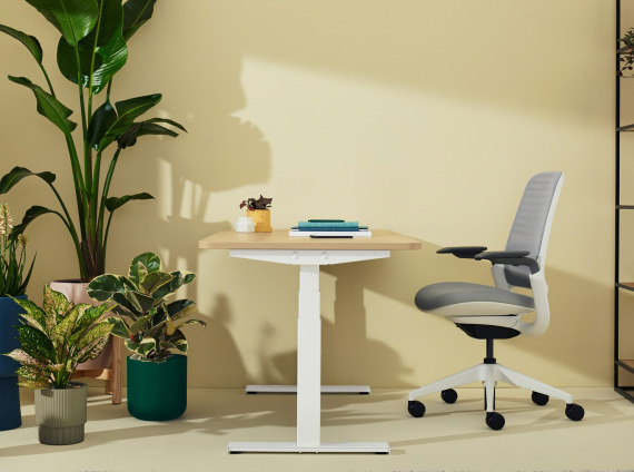 Solo Sit-to-Stand
